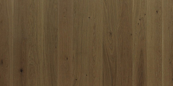 Focus Floor Дуб Prestige Santa Ana без отбора