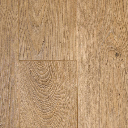Thys Berlin Oak 647869
