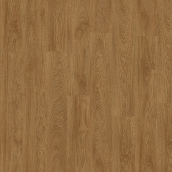 Moduleo Laurel Oak 51822