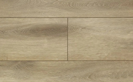 Rigid Firmfit Calisto Фелис EW-2362