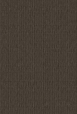 Bolon Sisal Natur Black
