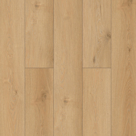 NatisSton Leger Begna 5001-10