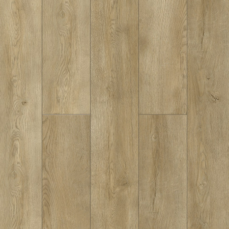 NatisSton Leger Eclipse 5001-03