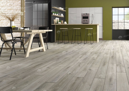 Homflor Distingo Long Island 536