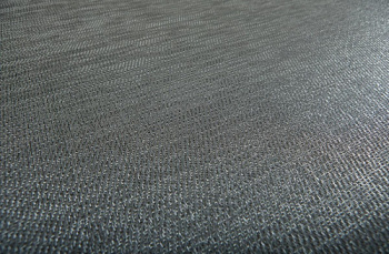 Bolon Thyme