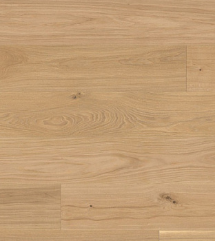 Bauwerk Дуб Avorio 9.5 мм с фаской