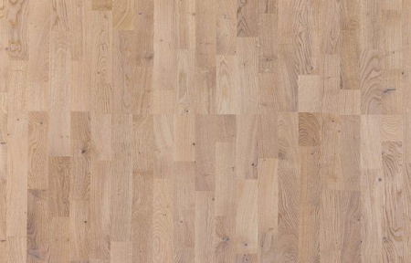 Focus Floor Дуб Санни Вайт  без отбора