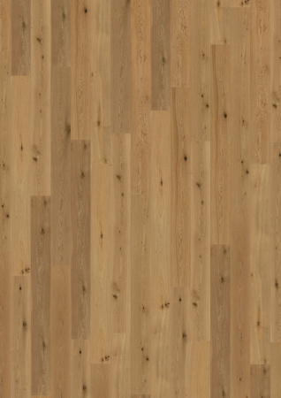 Wicanders WOOD Parquet RW04452 Дуб Стенли