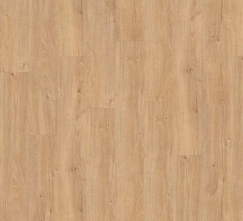 Adelar Sebastian Oak 05325