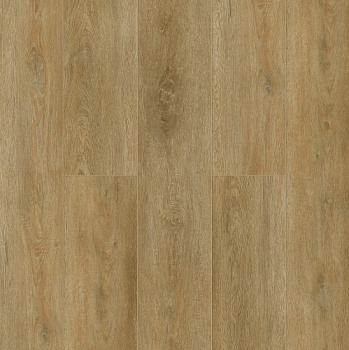 Tulesna Verano Alcmena 1002-18