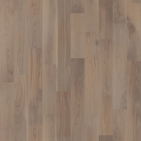 Lab Arte Дуб Натур Беж