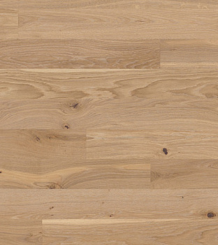 Bauwerk Дуб Avorio 9.5 мм без фаски
