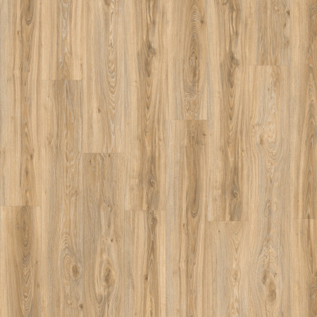 Moduleo Дуб Blackjack Oak 22220