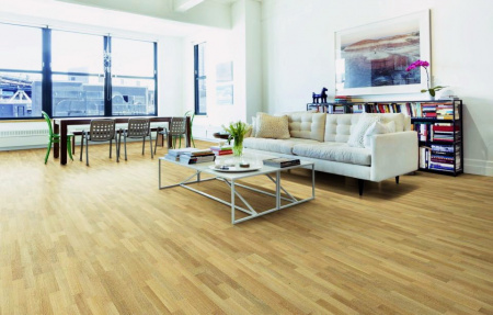 Focus Floor Дуб Libeccio High Gloss без отбора