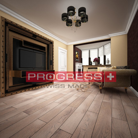 Progress Шильон