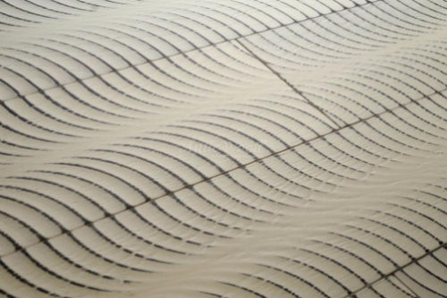 Antic Wood Кредо 15 мм с фаской