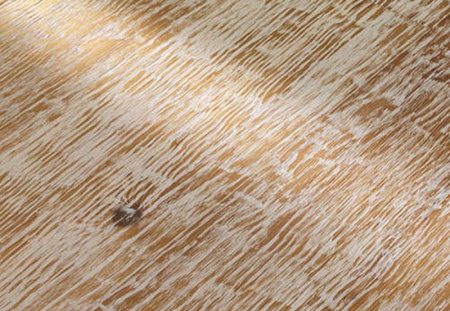 Admonter Лиственница INTENSIVE состаренная distressed white   без отбора