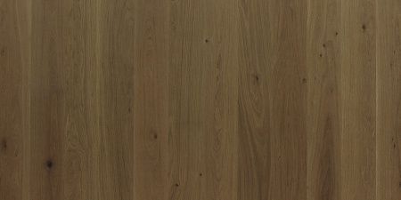 Focus Floor Дуб Prestige Santa Ana без отбора