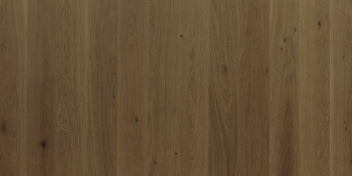 Focus Floor Дуб Prestige Santa Ana без отбора