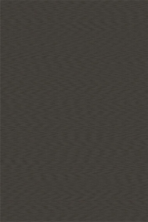 Bolon Coal