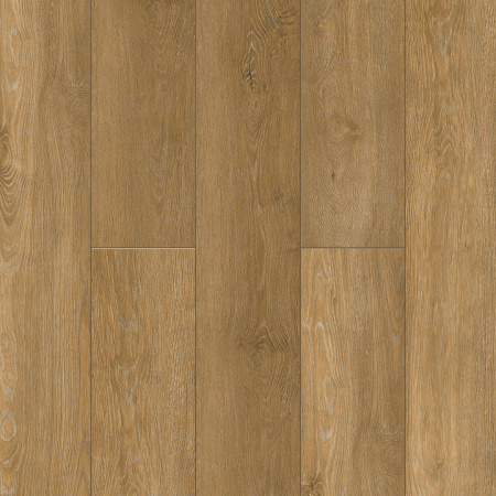 NatisSton Leger Otra 5001-06